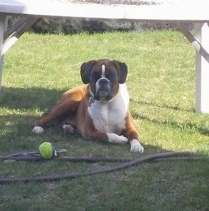 Meet your Posher, Sharon